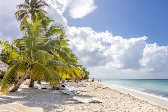 Saona Island Classic Tour