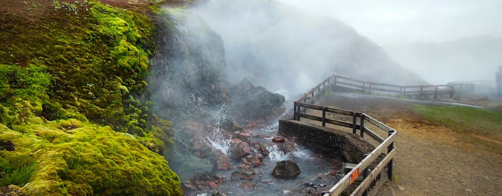 Excursão de dia inteiro a Borgarfjörður, o círculo prateado