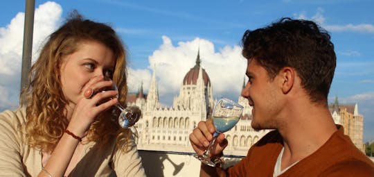 Danube river cruise with drink options