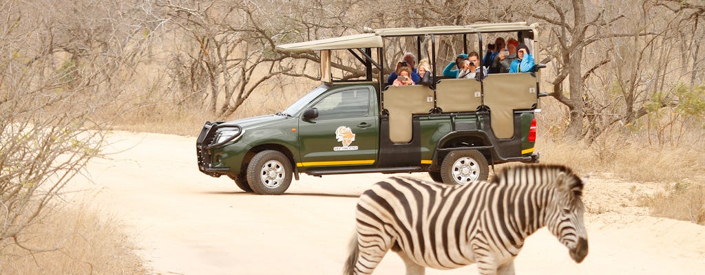 Safári de dia inteiro no Parque Nacional Kruger