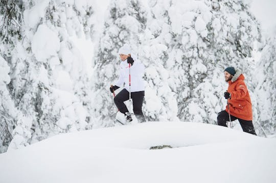 Wycieczka na rakietach śnieżnych w Parku Narodowym Pyhä-Luosto