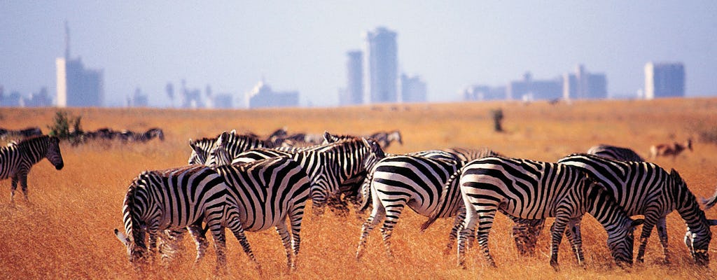 Tour de medio día al Parque Nacional de Nairobi