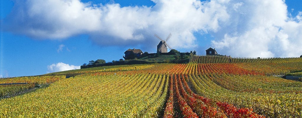 Reims and Champagne region small-group tour with tasting