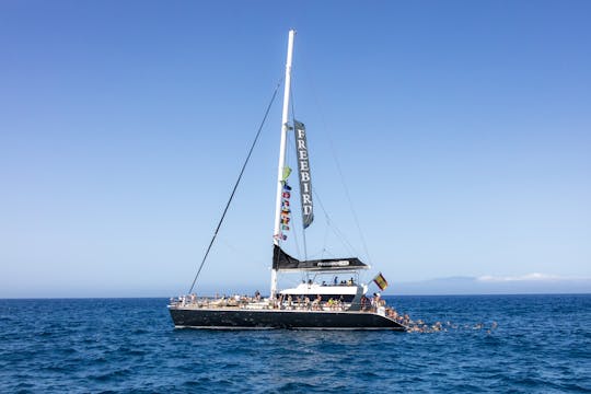 Adults Only Tenerife Freebird Walvissen & Dolfijnen Cruise