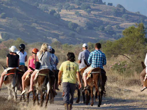 Argonaftis Donkey Farm Tour