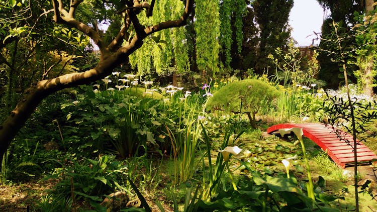 La Almunya del Sur Botanical Garden