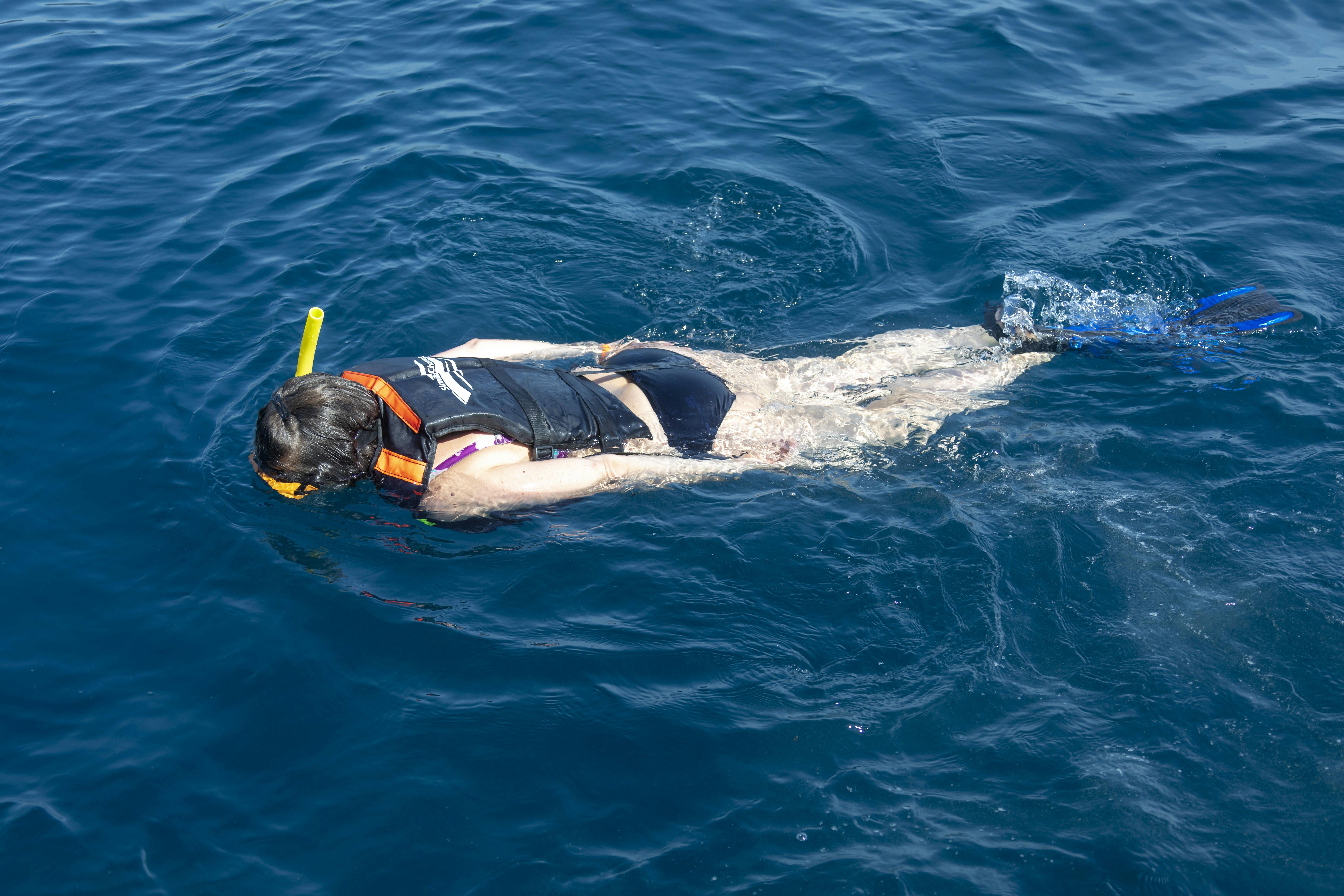 Excursion en bateau au départ de Porto Colom