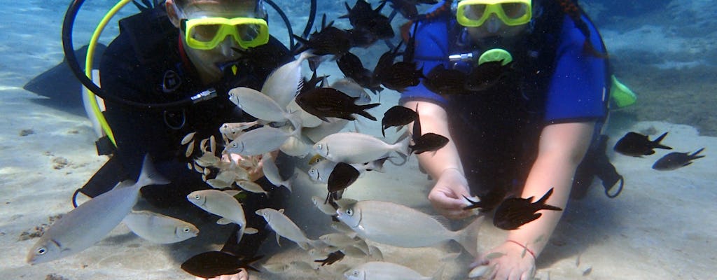 Nurkowanie z akwalungiem w małej grupie Discover Scuba Diving z Ajia Napa