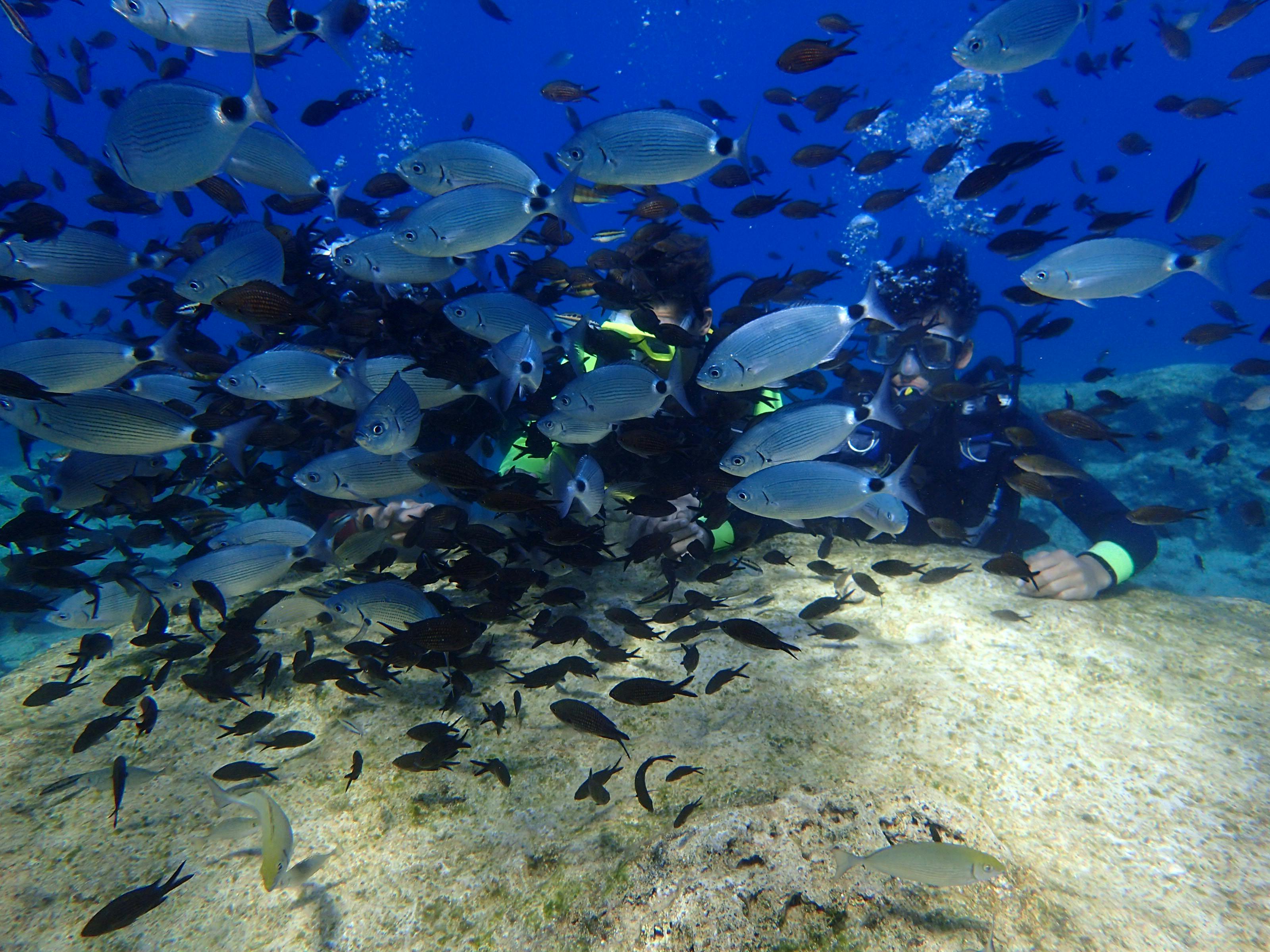 Cyprus Scuba Diving