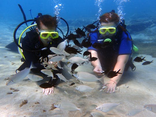 Upptäck dykning i liten grupp från Ayia Napa