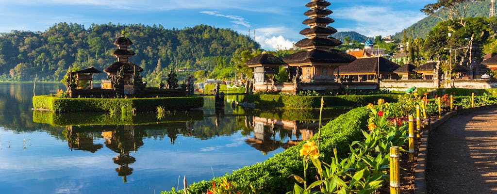 Excursión al norte de Bali y Lovina