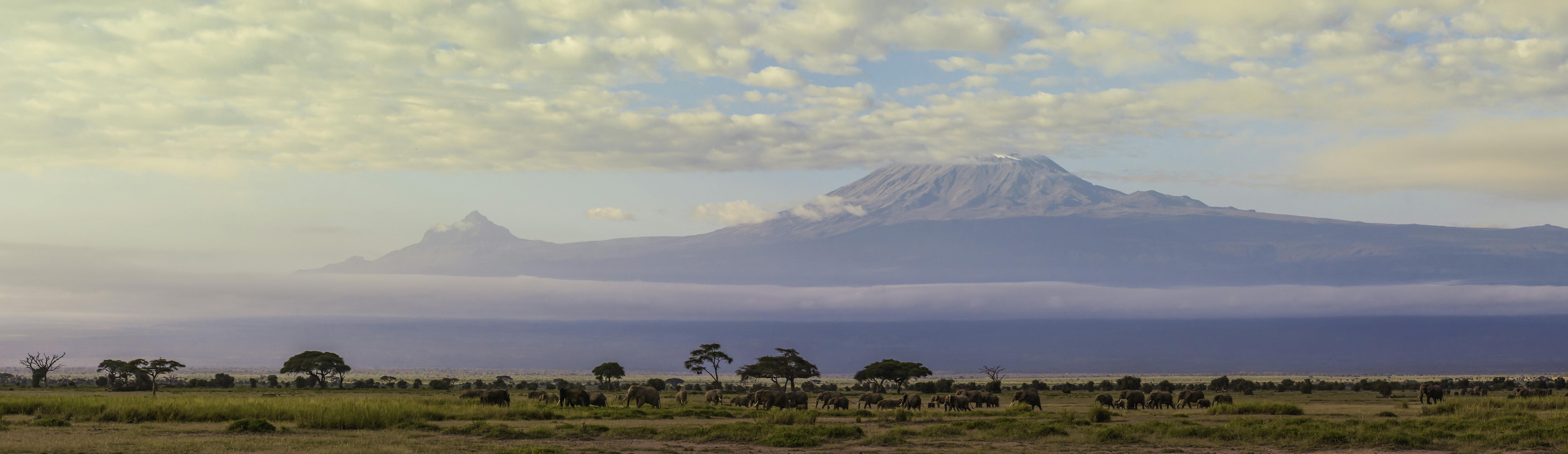 Day hike on Mount Kilimanjaro from Arusha