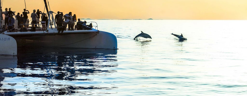 Croisière d'observation des dauphins à Majorque avec transfert