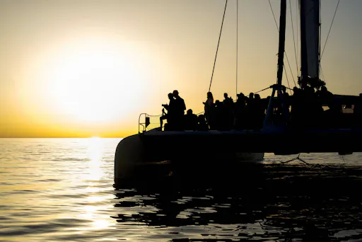 Dolphin Watching Cruise