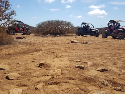 Gran Canaria Buggy and Quad Tours