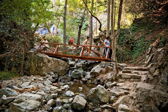 Caledonia Waterfalls Tour