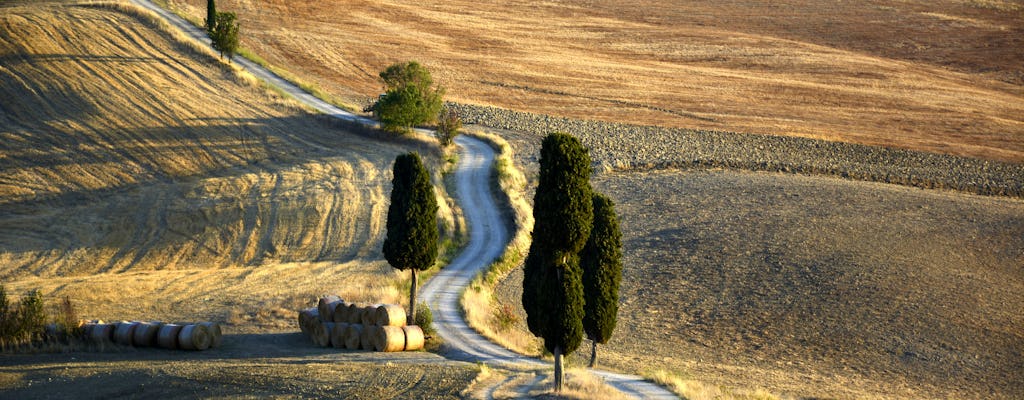 Val d'Orcia and Pienza tour with Brunello wine tasting