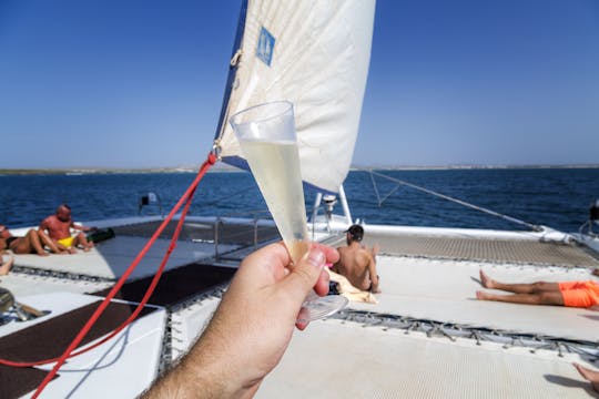 Cruzeiro de catamarã por Boa Vista