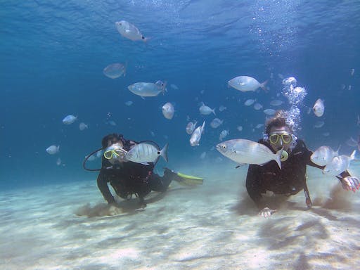 Scuba Diving Taster