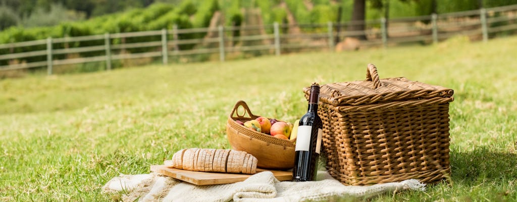 Picknick in de wijngaard en kelder tour in Podere Casanova