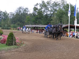Excursão de meio dia saindo de Budapeste com show de cavalos e passeio de carruagem