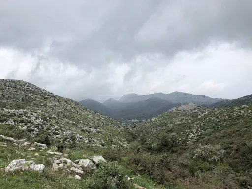  Private Sunset  4x4  Adventure Corfu