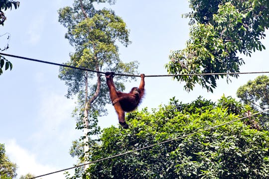 Makoa Farm Wildlife Rehabilitation Centre from Arusha