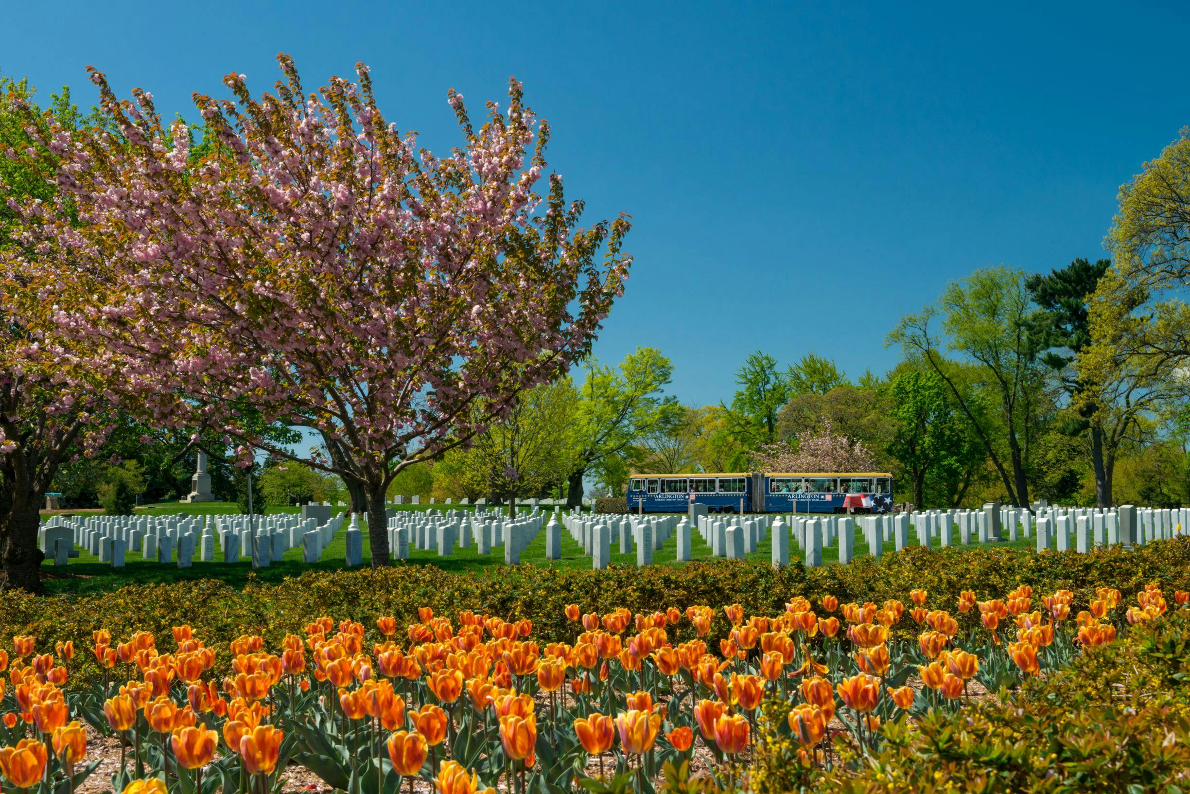 Excursão ao Cemitério Nacional de Arlington