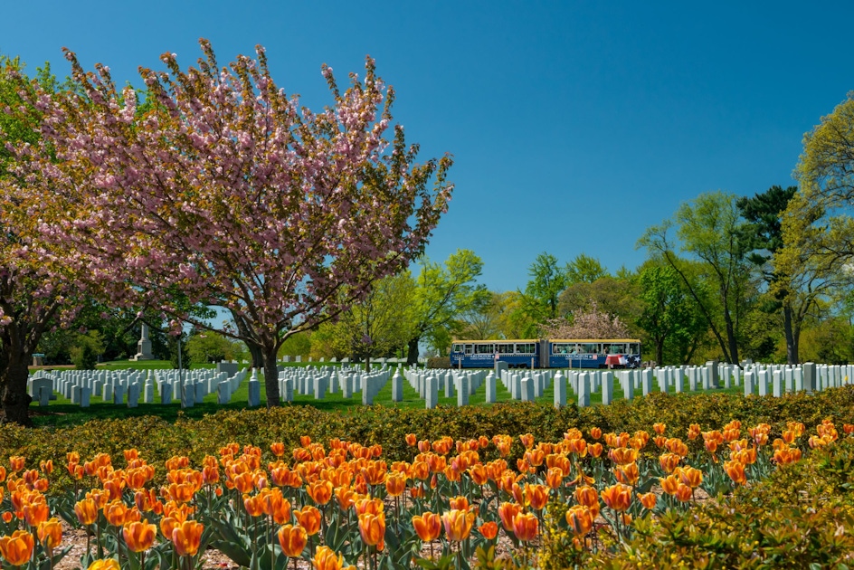 Arlington National Cemetery of Washington D.C. | musement