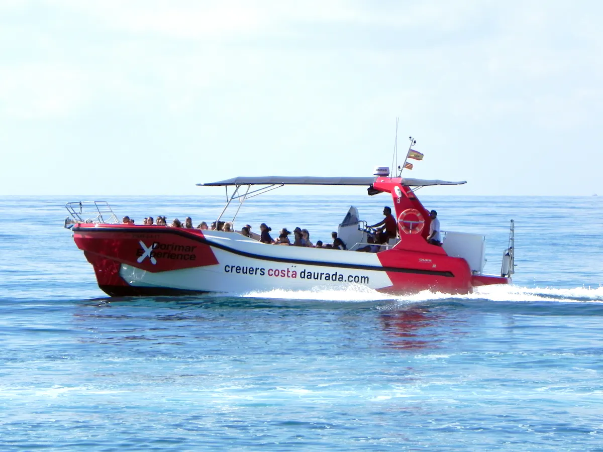 Speed Boat Experience