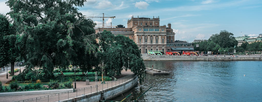 Tour a pé privado pelo centro histórico de Estocolmo e pelo Museu Vasa