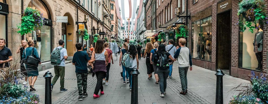 Tour privado a pie por la ciudad de Estocolmo y el bar de hielo