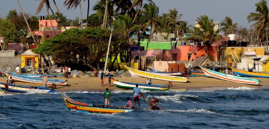 Gita di un giorno al villaggio di Kumbhalangi da Kochi
