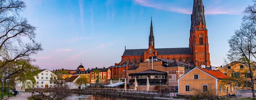 Uppsala's secrets private walking tour