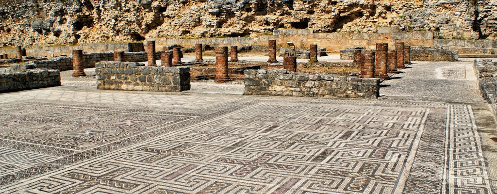 Conímbriga Roman ruins half-day tour