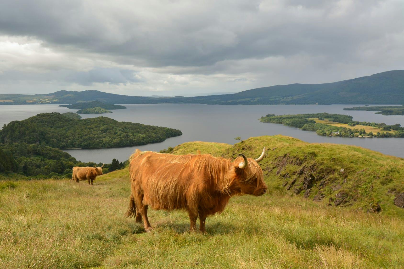 Loch Ness, Glencoe i region Highlands z Glasgow