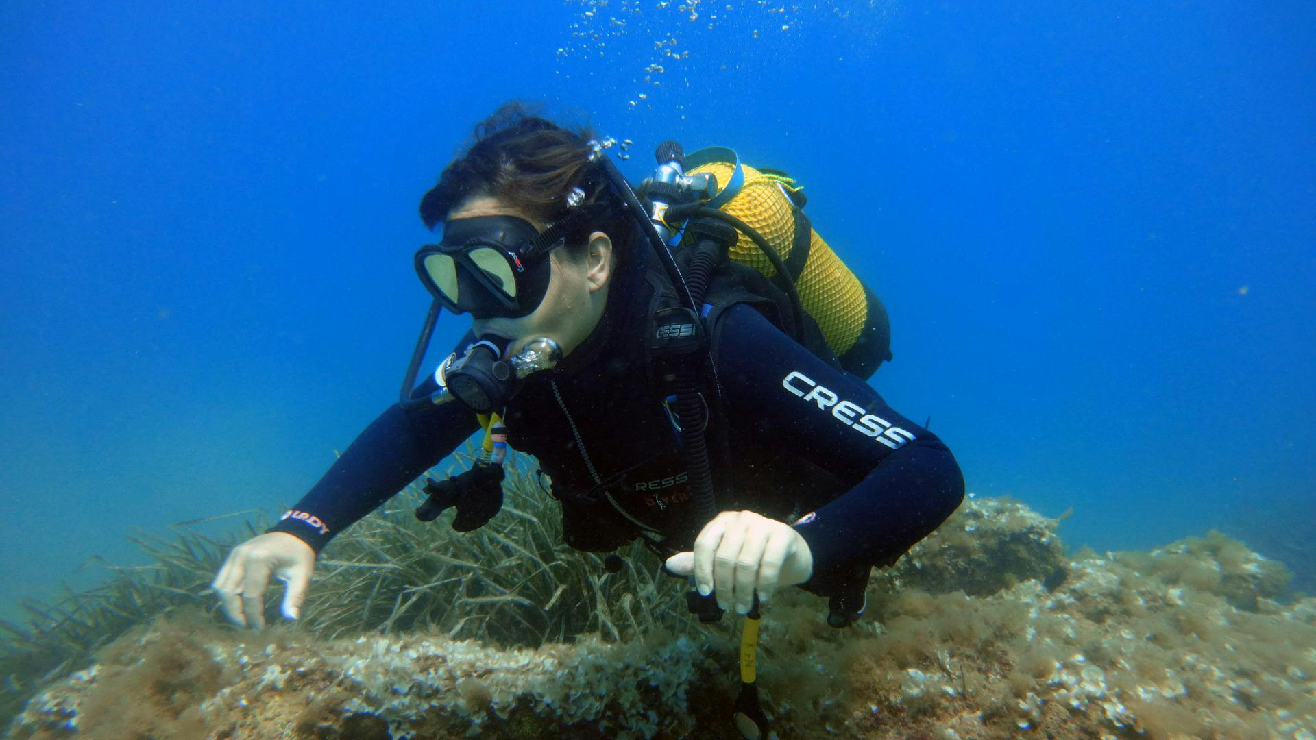 Beginner scuba diving class in Costa Brava with photo session