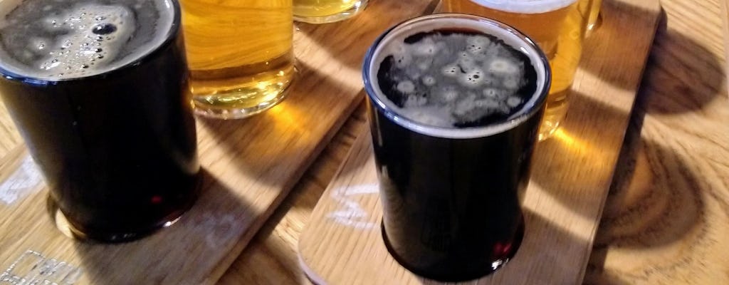 Bristol cross-harbour self-guided craft beer tour