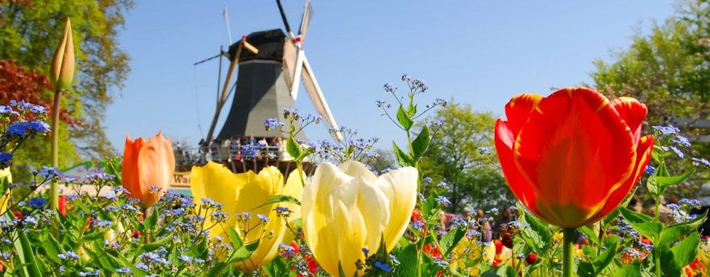 Visita guidata di Keukenhof dall'Aia con visita a Madurodam