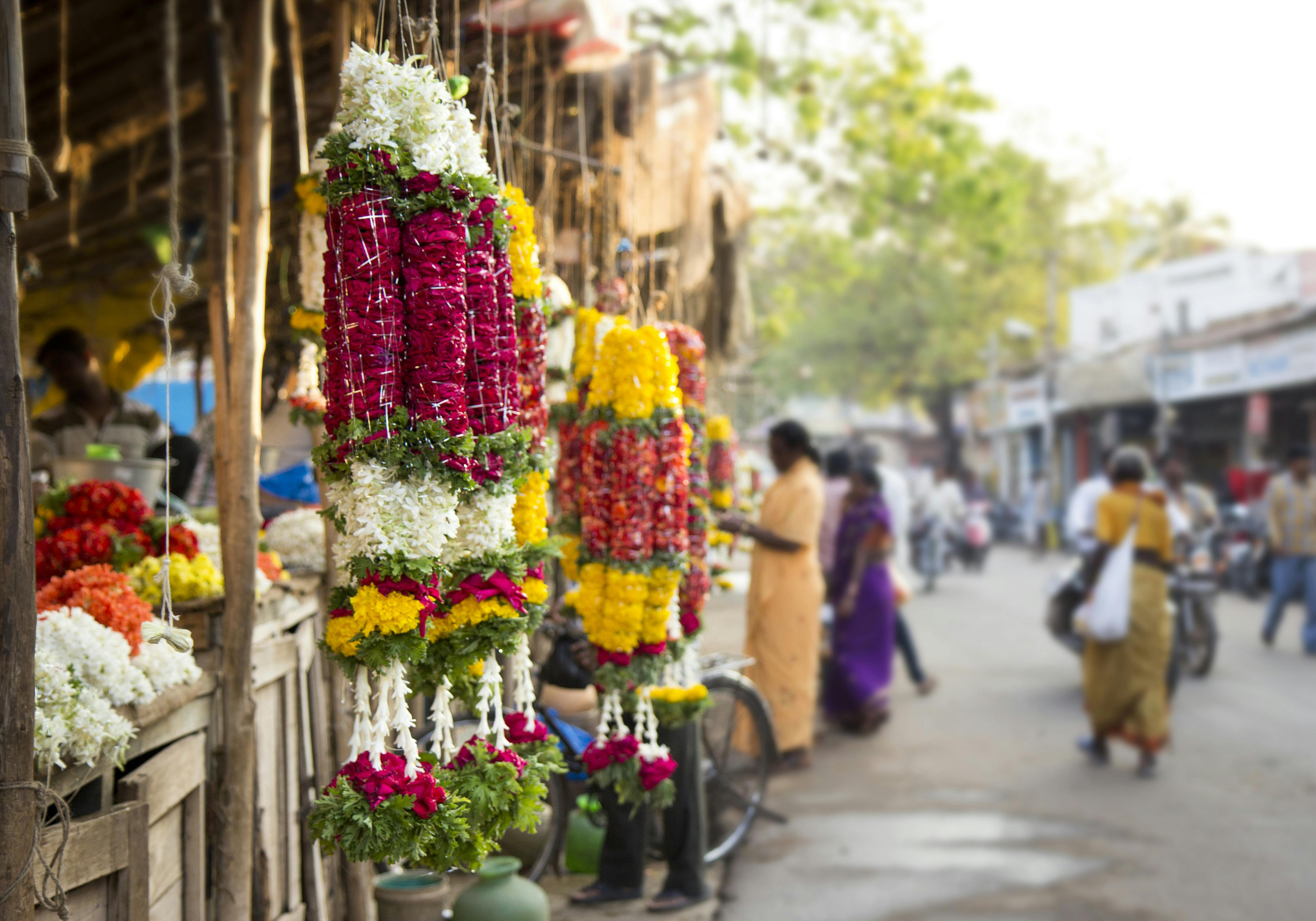 Flower market and Howrah bridge half-day private tour