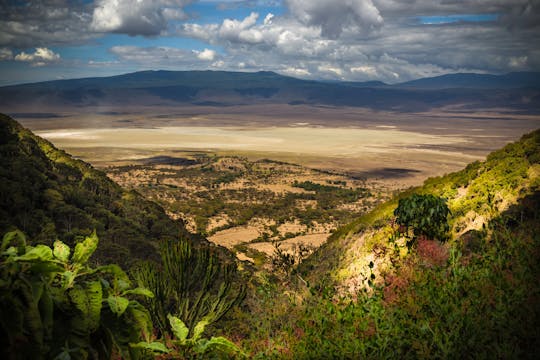 Safari de 3 dias na cratera de Ngorongoro saindo de Arusha