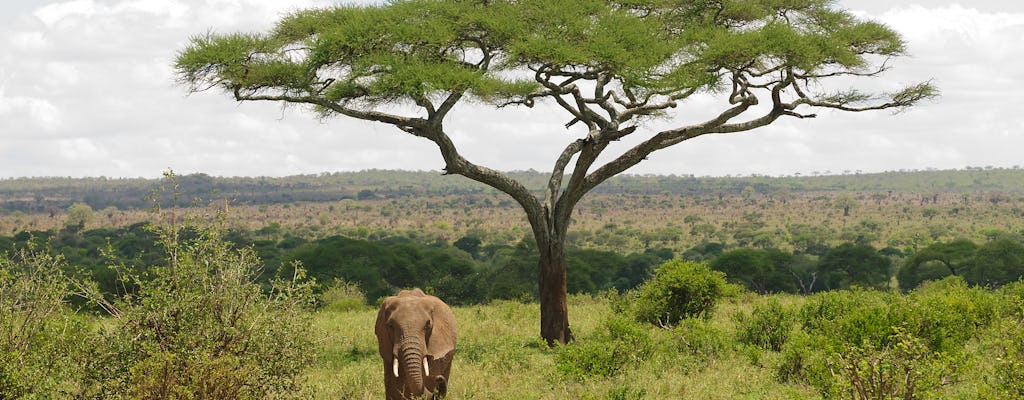 Safari de 2 jours dans le parc national de Tarangire au départ d'Arusha