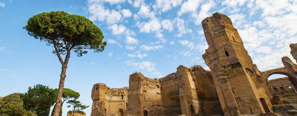 Baths of Caracalla guided tour