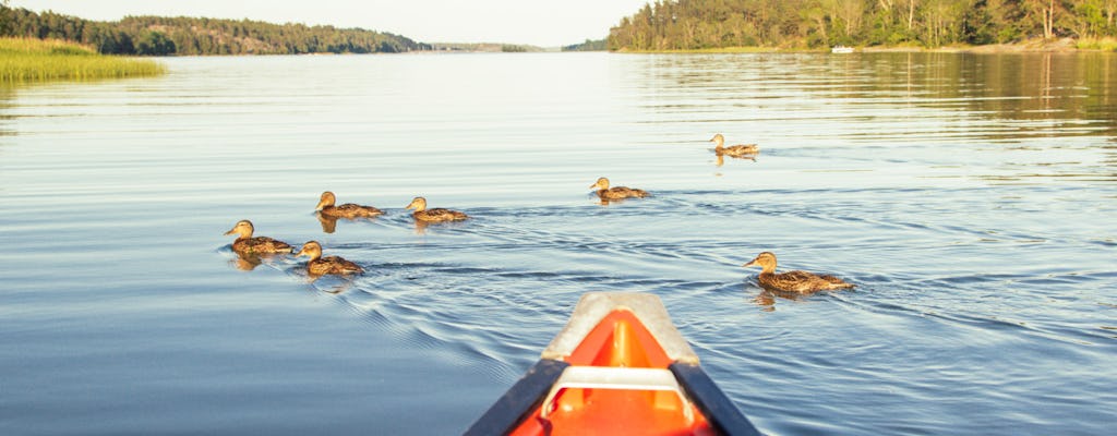 Aventura de canoa no arquipélago de Estocolmo