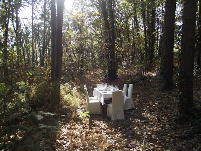 Cooking class and lunch in the woods outside Milan