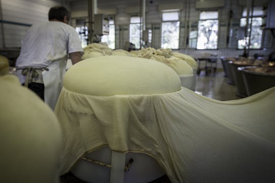 Visita e degustazione del caseificio di Parmigiano Reggiano a Reggio Emilia