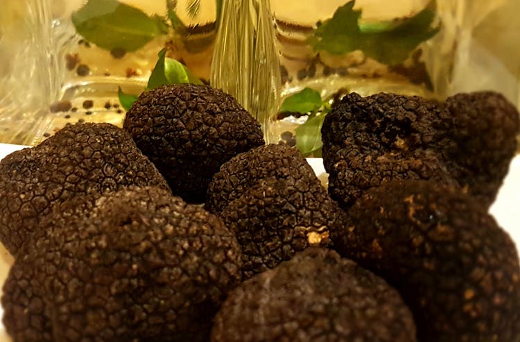 Festive truffle dinner and wine pairings with a MasterChef