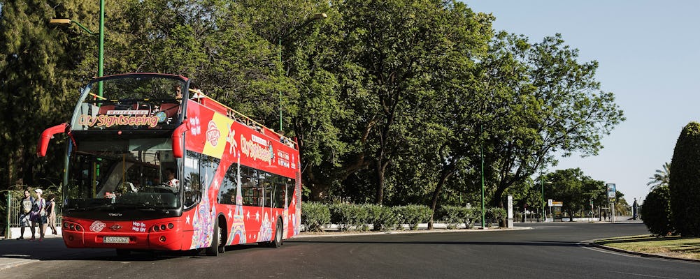 Wycieczka autobusem Hop-On Hop-Off City Sightseeing w mieście Benalmádena