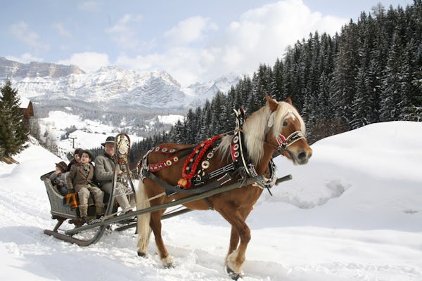 Horse-drawn sleigh experience with lunch