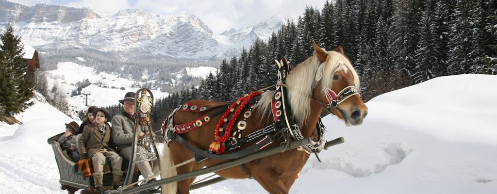 Horse-drawn sleigh experience with lunch